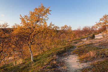 Sunset over an autumnal fjell landscape in northern Finland