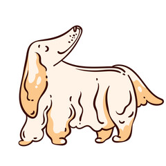 Long haired cream dog with beige spots, looking upward with floppy ears. Funny cartoon dog, drawn in a cute doodle style, for a pet sticker or playful mascot. Vector illustration