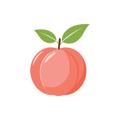 Fresh Ripe Peach Fruit with Green Leaves Vector Illustration.