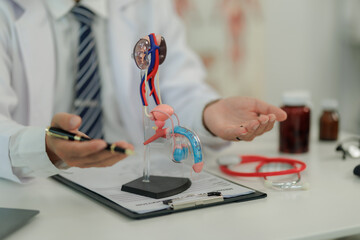 A urology specialist provides professional consultation on male sexual health, focusing on the...