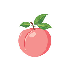 Fresh Pink Peach Fruit with Green Leaves Vector Illustration.
