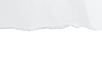 White paper burned half isolated on white background with clipping path