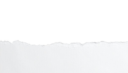 White paper burned half isolated on white background with clipping path