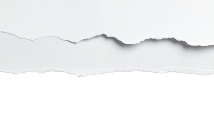 White paper burned half isolated on white background with clipping path