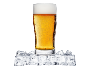 a glass of cold lager 