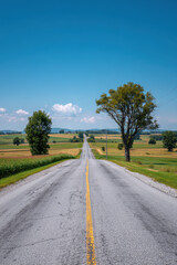 Fototapeta premium long asphalt road stretching towards horizon surrounded by lush green fields and clear blue sky