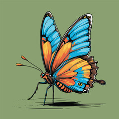 comic book style vector butterfly illustration