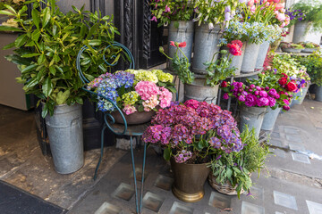 Colourful Flower Display On A City Sidewalk. Vivid flowers in red color