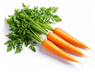 Fresh Organic Carrots with Green Tops on White Background