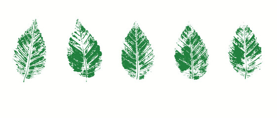 Natural leaves imprint, grunge style, vector, isolated, decorative elements for design	
