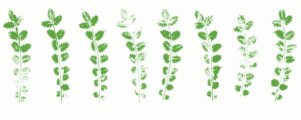 Natural leaves imprint, grunge style, vector, isolated, decorative elements for design	
