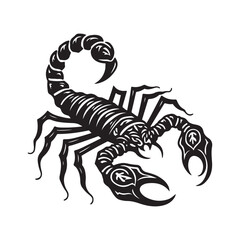 Scorpion vector illustration isolated on white with tribal and wildlife design elements