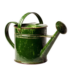 Green metal watering can rustic garden tool vintage design home decor