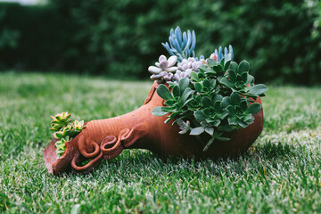 A creative succulent arrangement in a broken terracotta pot placed on a green lawn. Symbolizing inner strength, sustainability, and beauty in imperfection.