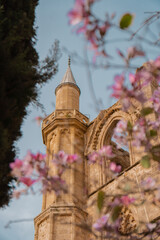 Minaret and historic stone building captured through soft pink spring blossoms. Architectural heritage in warm evening light under a clear sky.
