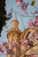 Minaret and historic stone building captured through soft pink spring blossoms. Architectural heritage in warm evening light under a clear sky.