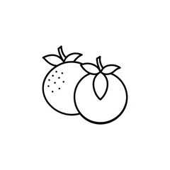 red apple isolated on white background