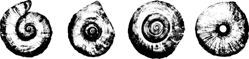 Boho style hand-drawn exotic sea shell from another planet, top view, xerography texture vector illustration