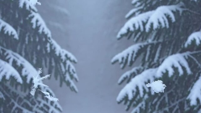 neve, flocos de neve 