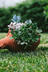 Vertical photo of succulents in rustic terracotta pot on grass, symbolizing emotional resilience, sustainable lifestyle, mindfulness and beauty in natural imperfection.