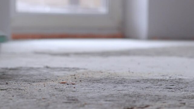 Close-up of a dusty concrete floor being swept clean with a sweeping broom in an empty indoor space. Sunlight softly highlights the dust particles. Blurry background with a window.

