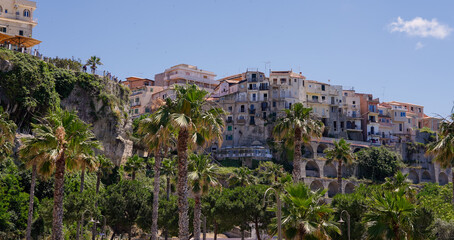 Obraz premium Palm trees framing the picturesque town of Tropea, perched on a cliff overlooking the Tyrrhenian Sea in Calabria, Southern Italy