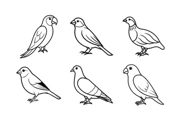 Set of verities birds line art vector illustration