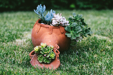 Broken terracotta pot with succulents on green grass, symbolizing balance, resilience, sustainable lifestyle, self care and natural harmony in outdoor rustic garden decor.