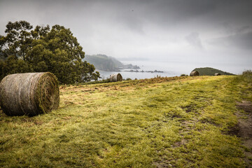 wet hay stack bale for livestock in green beautiful landscape