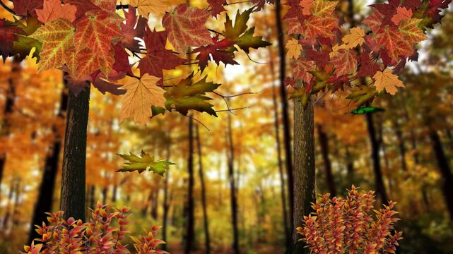 Green Butterfly Through an autumn Forest 4K Loop features a butterfly with green hued wings fling through a forest filled with Autumn leaves in a loop.