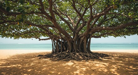 Majestic banyan tree with sprawling roots on a sandy beach overlooking the ocean
