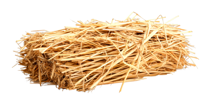 Harvesting straw bales farm field agricultural material rural setting ground level nature isolated on transparent background