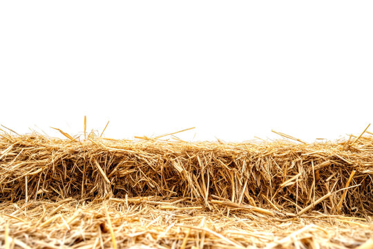 Harvesting straw bales agricultural field open air ground level organic farming isolated on transparent background