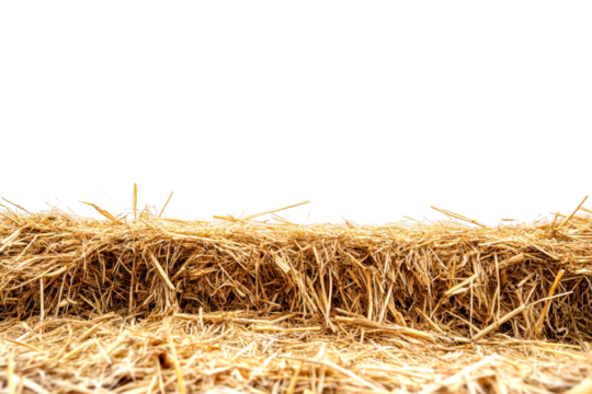 Harvesting straw bales agricultural field open air ground level organic farming isolated on transparent background - Powered by Adobe