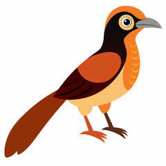 Simple Robin on Branch – Vector on White