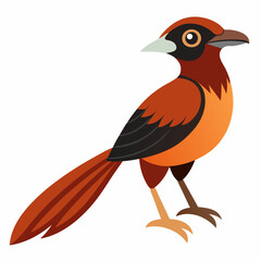 Simple Robin on Branch – Vector on White