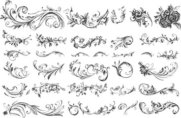 Vector illustration of deferent type leaf design set