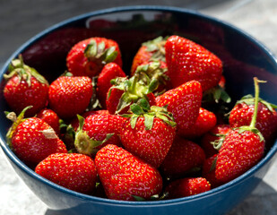 Fresh juicy strawberries lie in a bowl. Background with strawberry harvest. Close up. Healthy eating.