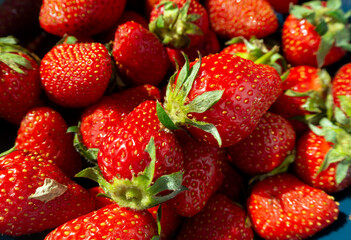 Natural background with strawberries. Fresh juicy red strawberries close-up. Healthy eating.