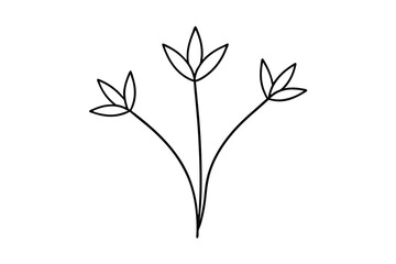 Continuous line drawing of butterfly weed stem