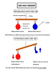 Air has weight.Balloon balancing blowing up with gases.Science experiment.Flat and filled balloon.Diagram for  physics, chemistry, air pressure, and mass.Education infographic.Vector illustration.