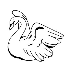 graceful swan with open wings vector