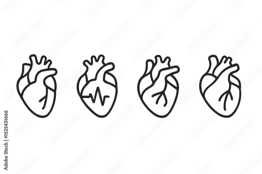 Poster heart illustrations showing different stages of heartbeat activity and anatomical variations set aga