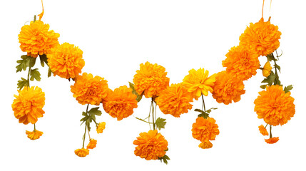 Vibrant Orange Marigold Garland Festive Floral Decoration isolated on transparent background	