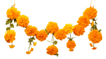 Vibrant Orange Marigold Garland Festive Floral Decoration isolated on transparent background	
