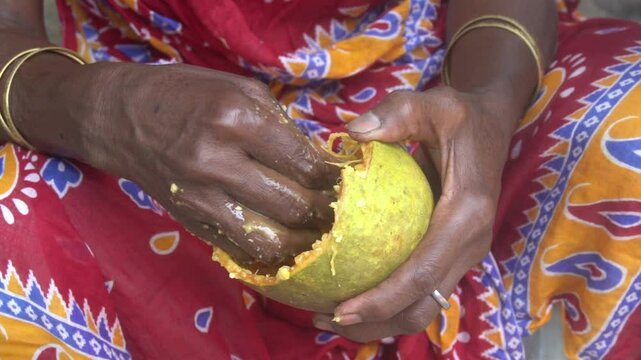 Wood apple is a hard-shelled tropical fruit with aromatic, tangy pulp, rich in nutrients, used in juices, chutneys, and traditional medicine.
