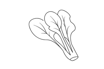 Simple line drawing of fresh bok choy vegetable