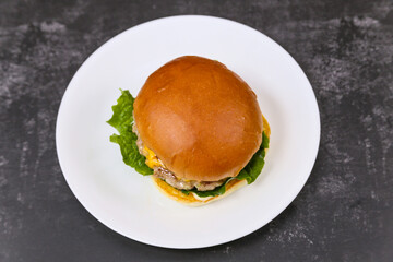 Homemade hamburgers on a plate