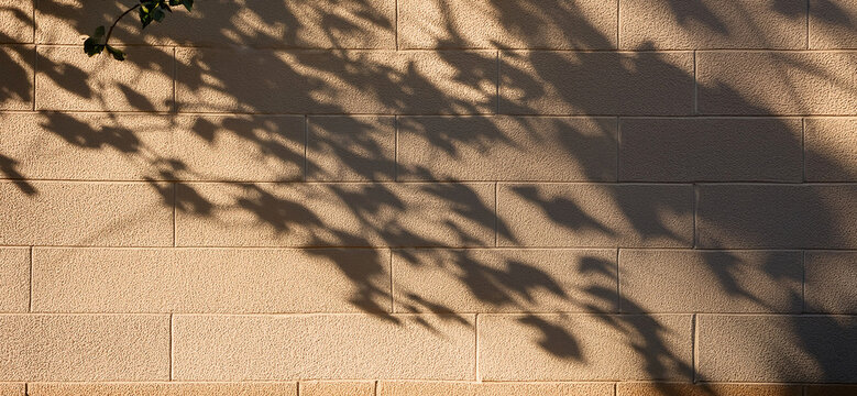 Shadow of leaves on the wall - detailed shadows in late light on a color facade, summer vacation warm and sunny background