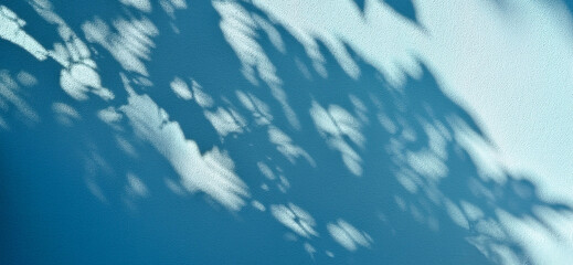Shadow of leaves on the wall - detailed shadows in late light on light blue facade